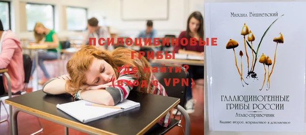 марихуана Лабытнанги