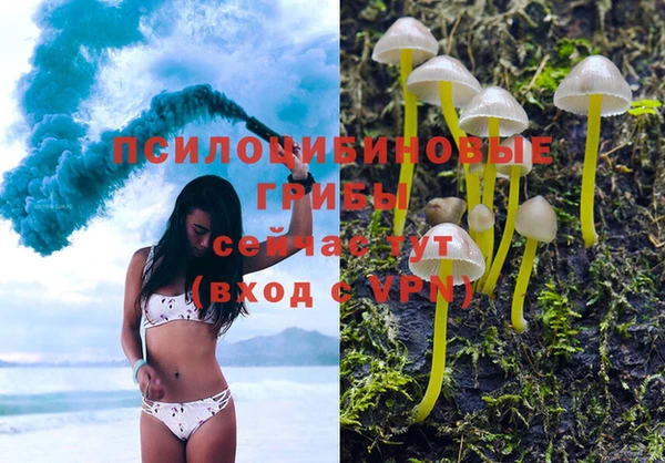 герыч Ладушкин