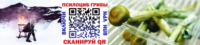 Купить закладки  Навашино  Псилоцибиновые грибы GOLDEN TEACHER 